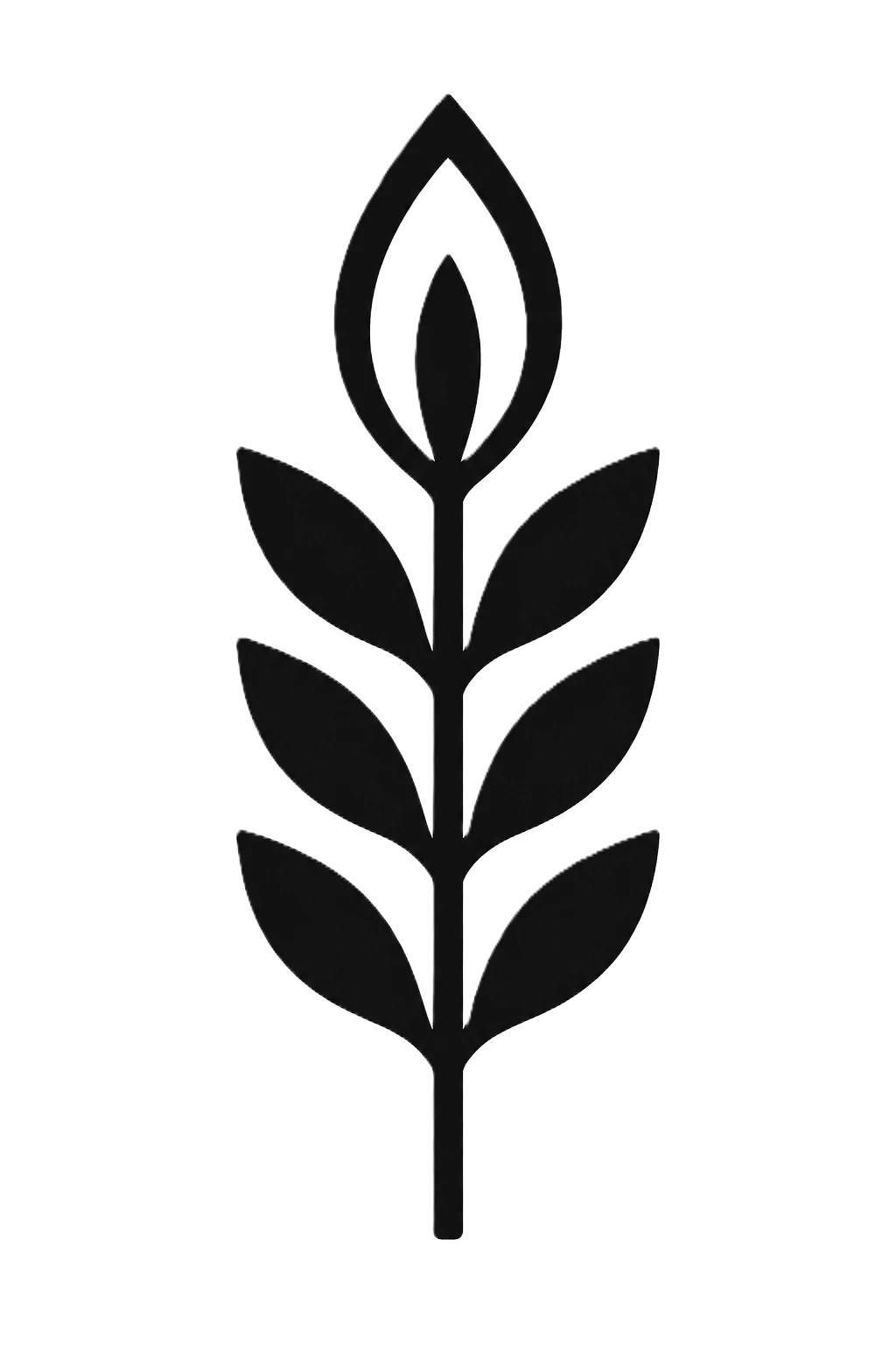 Black Paddy Stalk