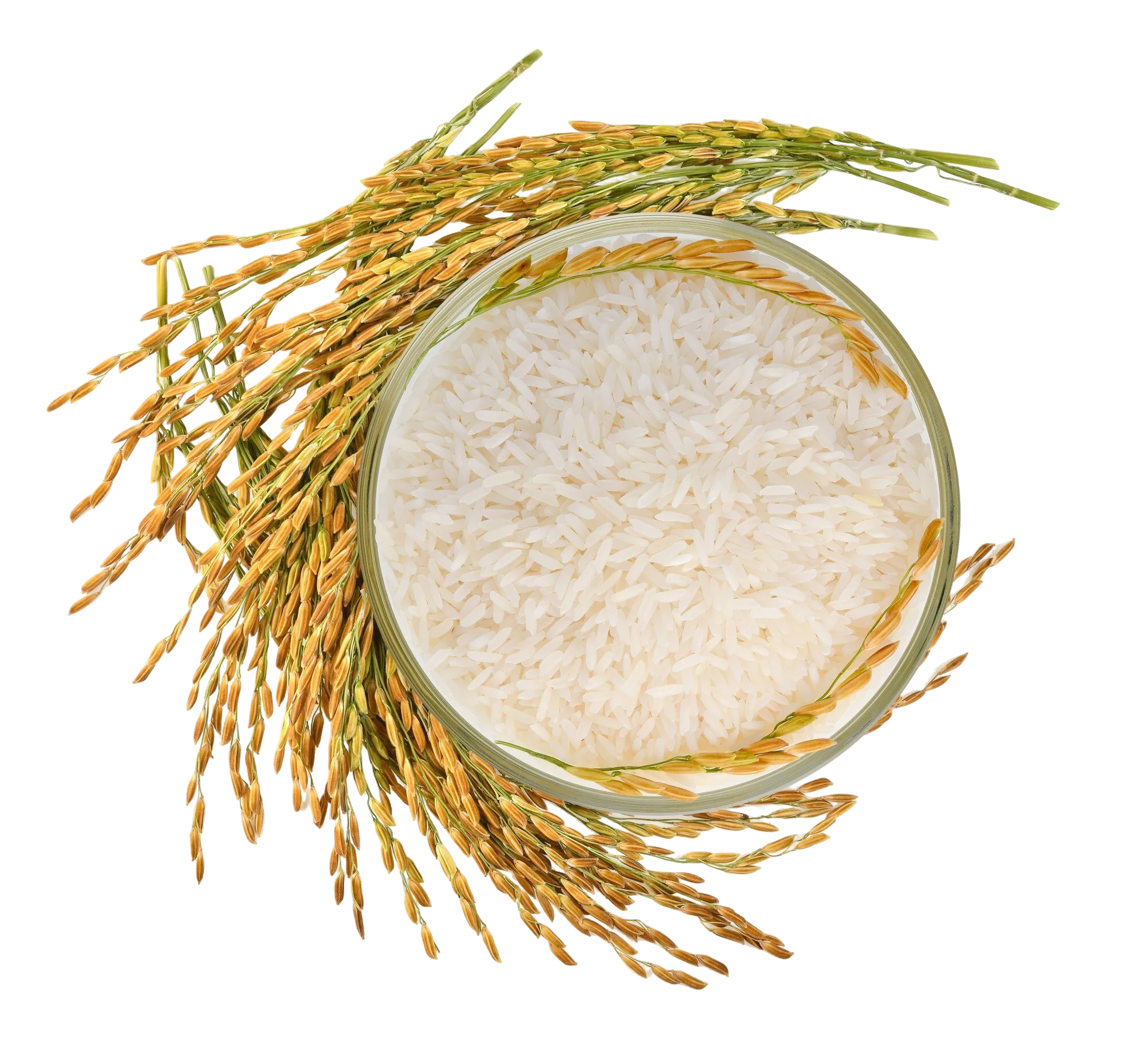 Premium Basmati Rice Bowl