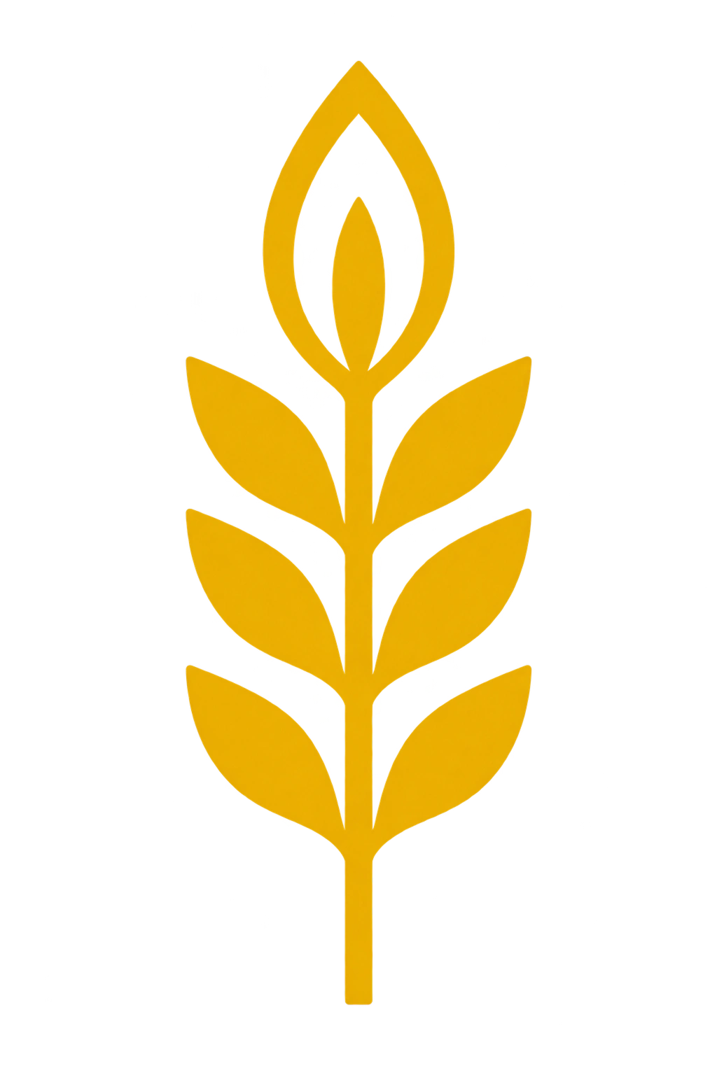 Golden Paddy Single Stalk