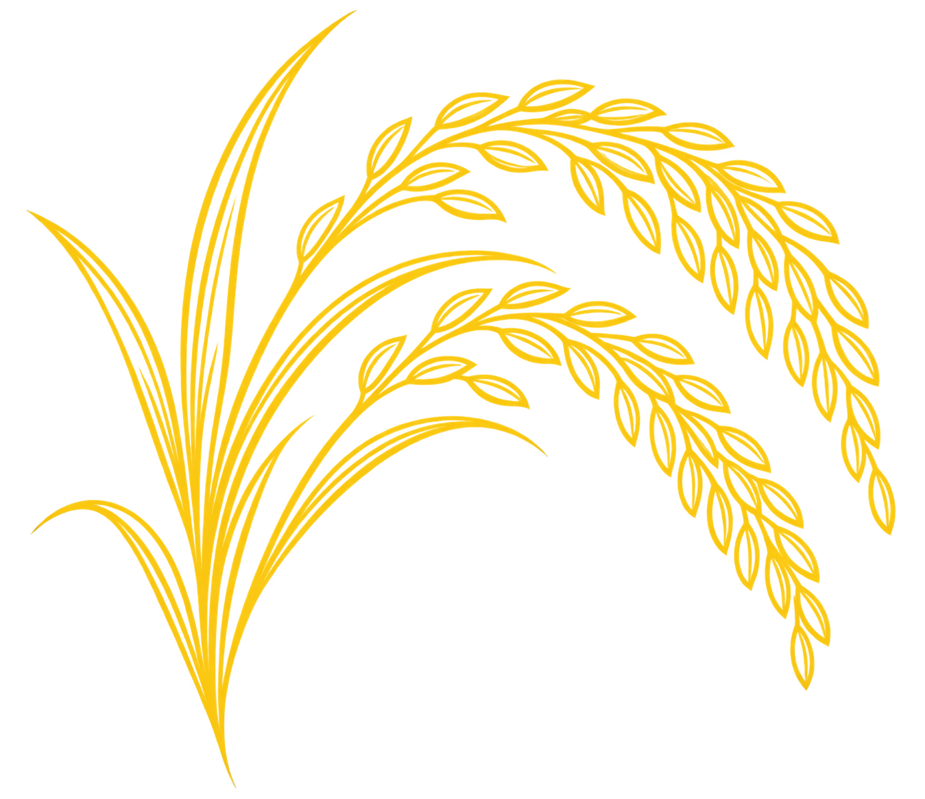 Paddy Wheat Lineart Left